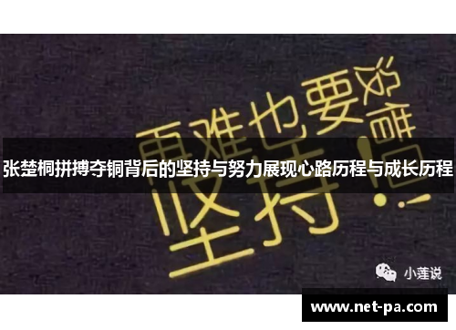 张楚桐拼搏夺铜背后的坚持与努力展现心路历程与成长历程