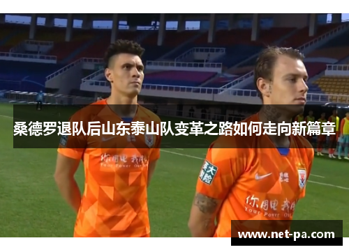 桑德罗退队后山东泰山队变革之路如何走向新篇章
