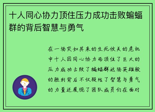 十人同心协力顶住压力成功击败蝙蝠群的背后智慧与勇气