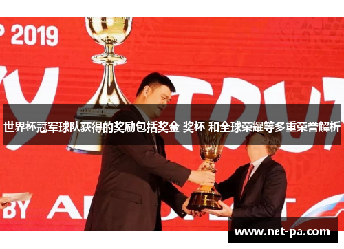 世界杯冠军球队获得的奖励包括奖金 奖杯 和全球荣耀等多重荣誉解析