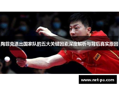 陶菲克退出国家队的五大关键因素深度解析与背后真实原因