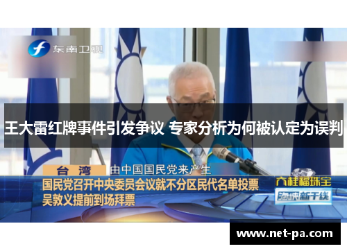 王大雷红牌事件引发争议 专家分析为何被认定为误判