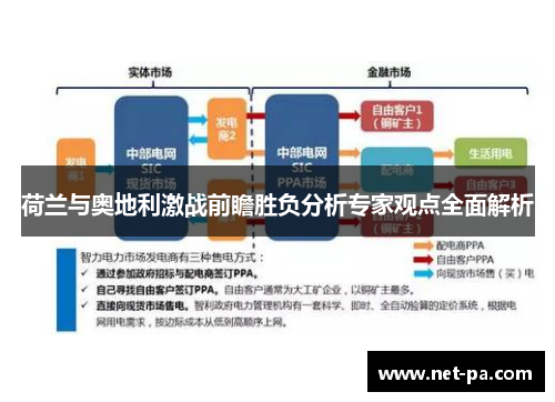 荷兰与奥地利激战前瞻胜负分析专家观点全面解析