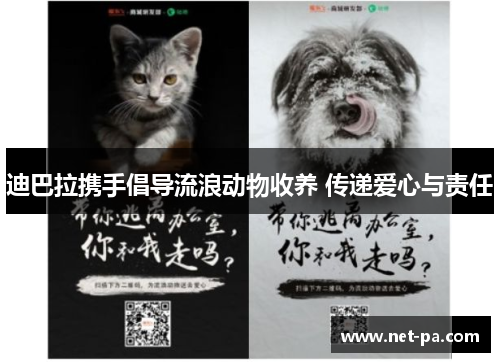 迪巴拉携手倡导流浪动物收养 传递爱心与责任