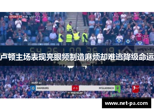 卢顿主场表现亮眼频制造麻烦却难逃降级命运