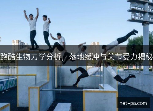 跑酷生物力学分析，落地缓冲与关节受力揭秘